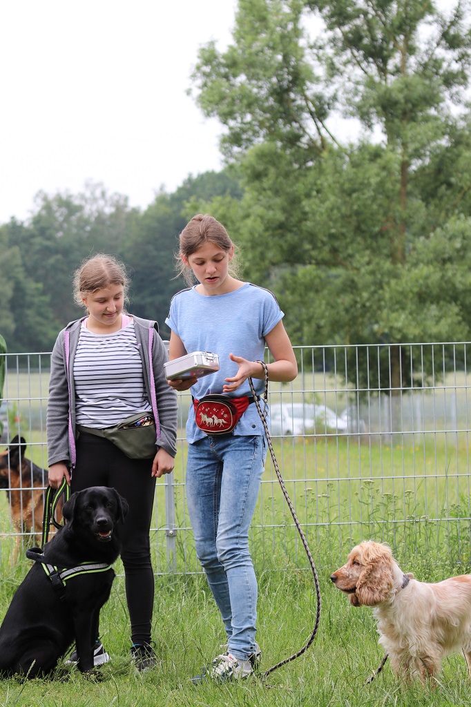 06 15 2019 Ein Fest Für Hunde (4)