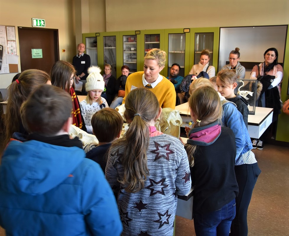 Tag der Offenen Tür am Ratsgymnasium Rotenburg