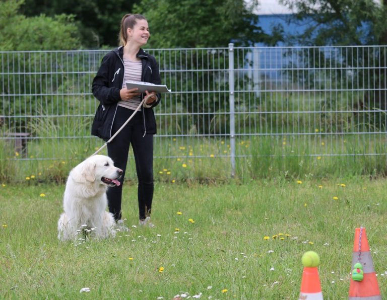 06 15 2019 Ein Fest Für Hunde (1)