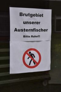 Jubiläumsfeier 2019 (10)